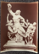 Photo de Fratelli Alinari " Roma - Museo Vaticano, Laocoon coi figli (Agisandro Polidoro e Atenodoro ) " - albumine - ca.1875