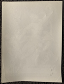 Photo de Fratelli Alinari " Roma - Museo Vaticano, Laocoon coi figli (Agisandro Polidoro e Atenodoro ) " - albumine - ca.1875