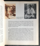 " Naissance de l'Art Grec - Collection l'Univers des Formes " par Pierre Demargne - 1964