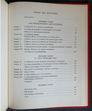 " Naissance de l'Art Grec - Collection l'Univers des Formes " par Pierre Demargne - 1964