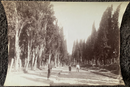 Photo de Sébah & Joaillier " Cimetière Turque à Scutari" - albumine - ca.1865
