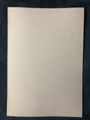 Photographe inconnu " Cathédrale de Lichfield " - albumine - ca. 1880-1890