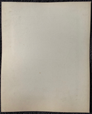 Photo grand format de Maurizio Lotze " Vicenza , Palazzo del Monte di Pieta " - albumine  - ca. 1860