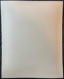 Photo de Fratelli Alinari " Pisa - Duomo Porta della tribuna, esterno" - albumine - ca.1875