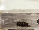 Photo de Félix Bonfils (1831-1885) - Vue générale de Jericho - albumine - ca.1880