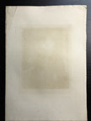 Gravure originale "Portrait de Mr.Vrijdags-Van Vollenhoven"  par Charles Waltner d'après Jan van Ravestein -XIXe -printed by A. Salmon